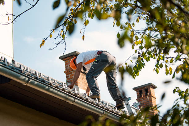 Best Chimney Flashing Repair  in Morgantown, KY