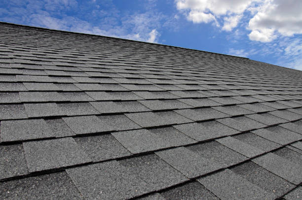 Best Roof Inspection  in Morgantown, KY